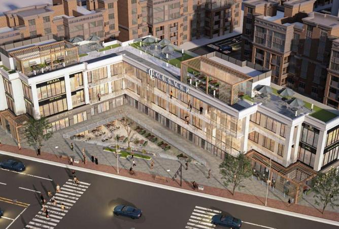 54491399 - Property Image 3