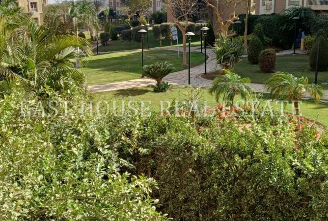 57755511 - صورة العقار 3