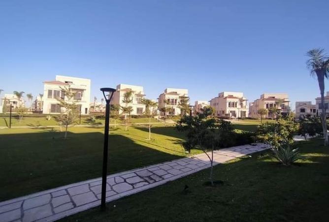 8500241 - صورة العقار 3