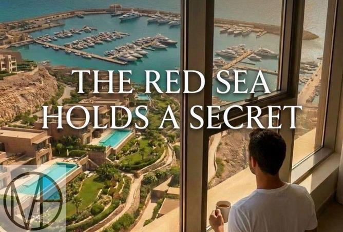 8706534 - Property Image 2