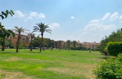 Apartment - 3 Bedrooms - 3 Bathrooms for rent in El Banafseg 7 - El Banafseg - New Cairo City - Cairo Apartment - 3 Bedrooms - 3 Bathrooms for rent in El Banafseg 7 - El Banafseg - New Cairo City - Cairo