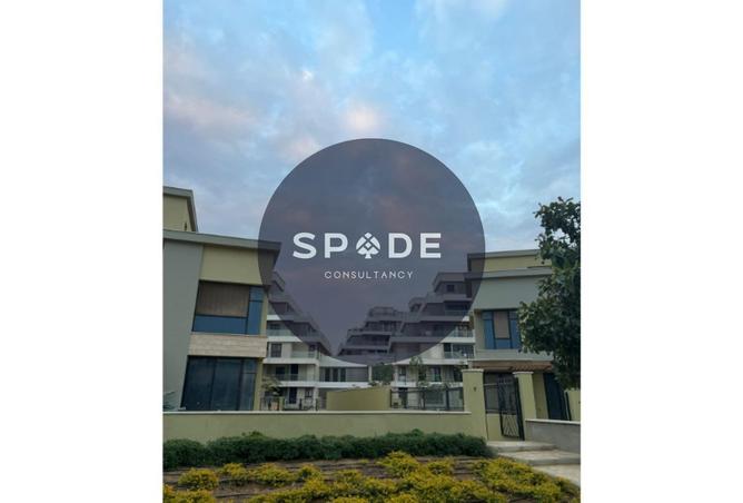 58987475 - Property Image 3