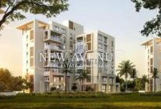 67469323 - صورة العقار 3