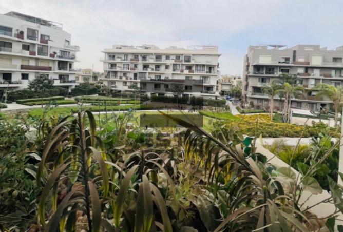 64394559 - Property Image 2