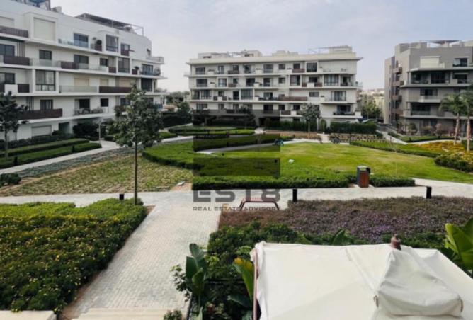 64394559 - Property Image 3