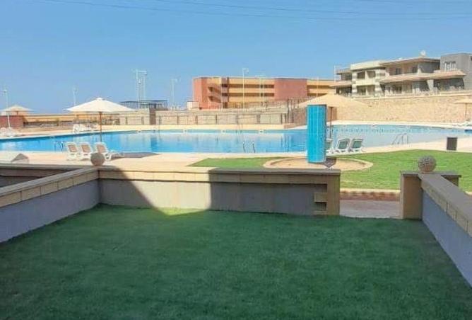 8555871 - Property Image 3