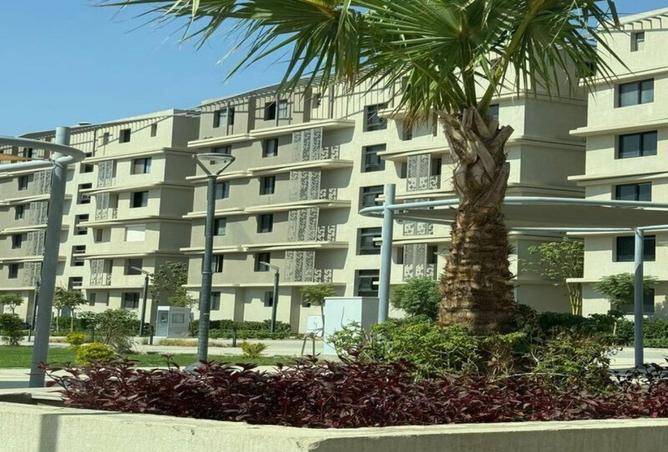 8567135 - صورة العقار 3