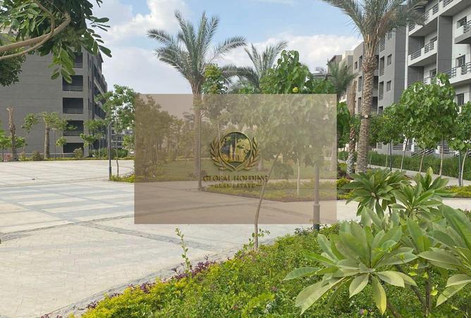 57500860 - صورة العقار 2