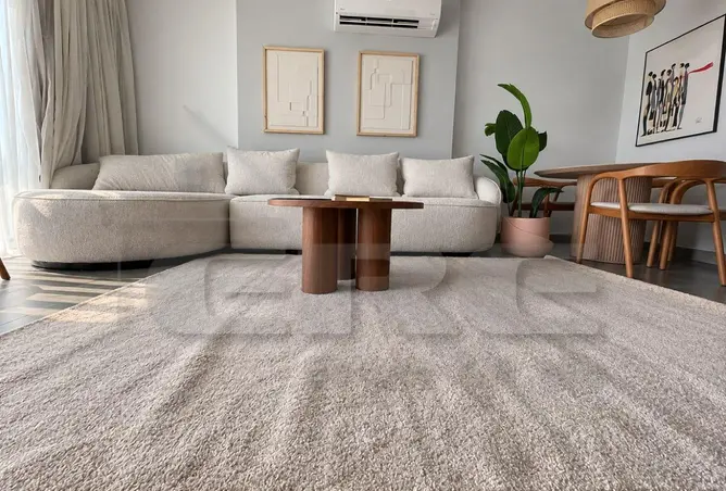 118541581 - Property Image 3