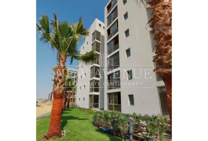 111019788 - Property Image 3