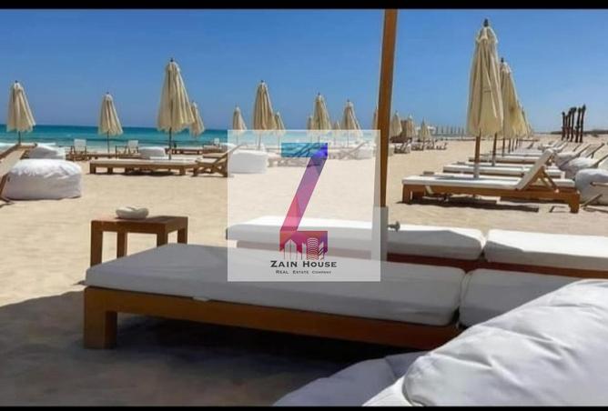 66171949 - Property Image 3