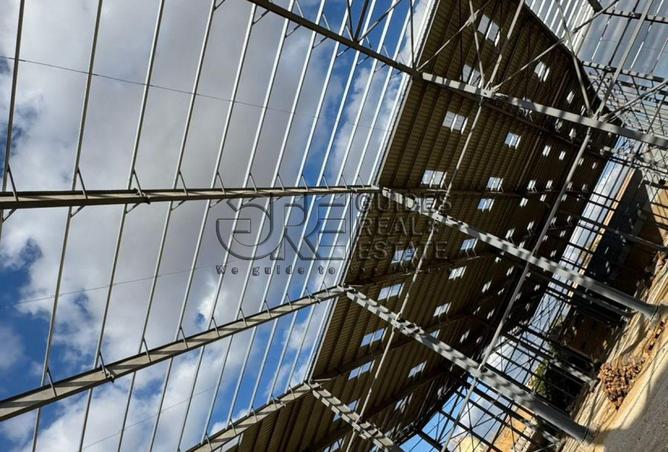 52184768 - صورة العقار 3