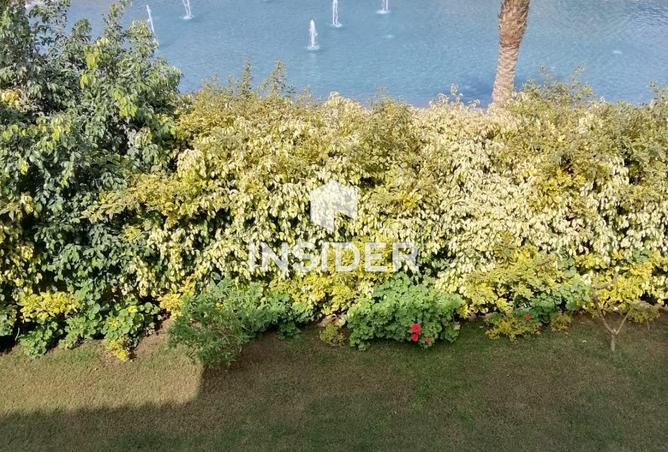 105745188 - Property Image 3