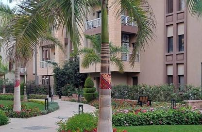 Apartment - 3 Bedrooms - 3 Bathrooms for sale in Green 5 - 6 October Compounds - 6 October City - Giza Apartment - 3 Bedrooms - 3 Bathrooms for sale in Green 5 - 6 October Compounds - 6 October City - Giza