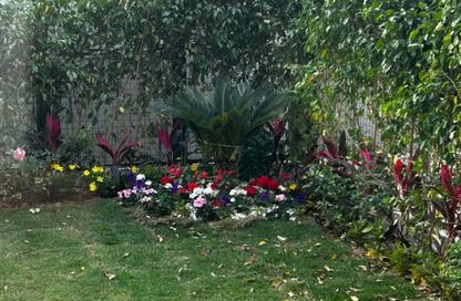 Townhouse - 5 - 5 for rent in Mountain View iCity - 5th Settlement Compounds - The 5th Settlement - New Cairo City - Cairo