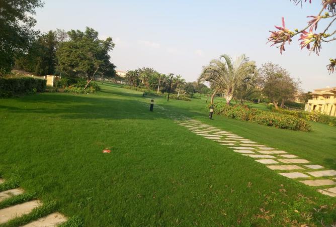 8506233 - صورة العقار 3