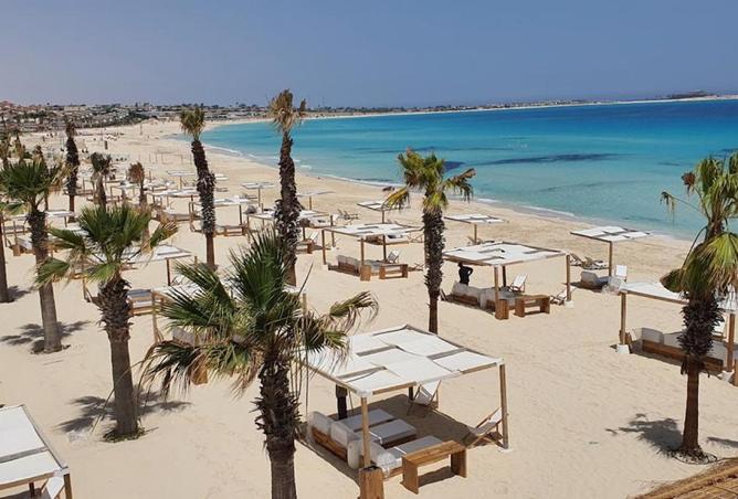 55752713 - الصورة الرئيسية للعقار