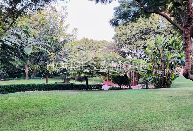 8415316 - Property Image 3