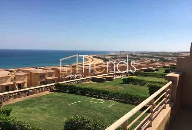 81571464 - صورة العقار 3