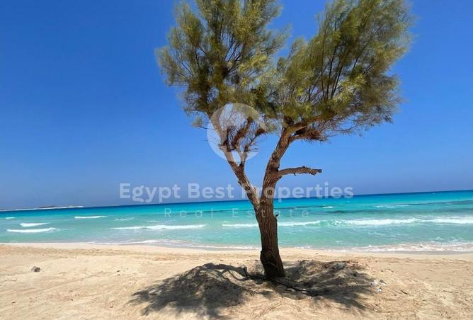 56506145 - صورة العقار 3