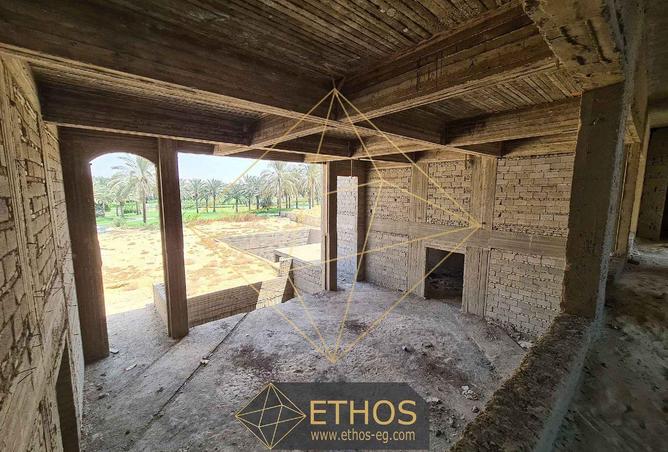 59249902 - Property Image 2