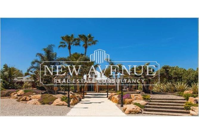 8663784 - Property Image 3