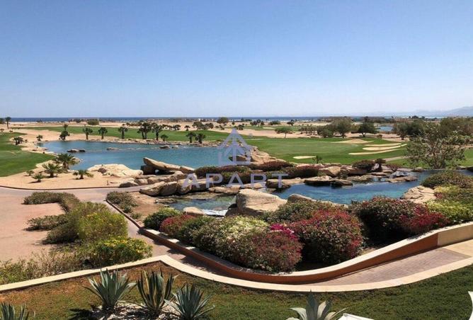 8691136 - صورة العقار 3