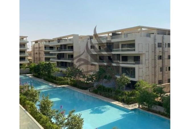 56493564 - Property Main Image