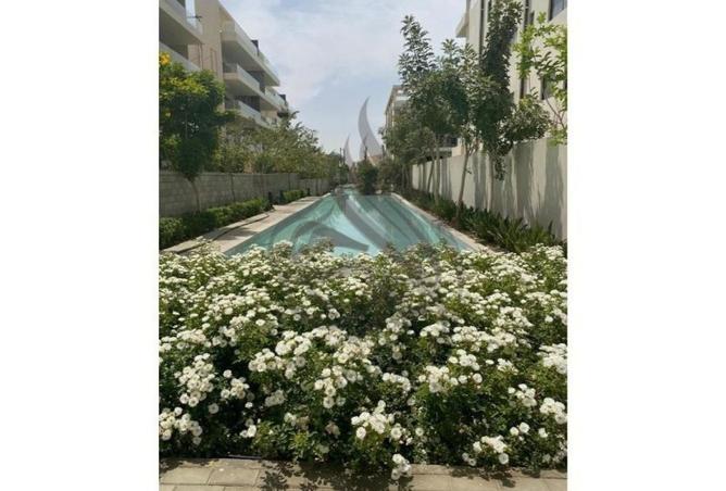 56493564 - Property Image 3