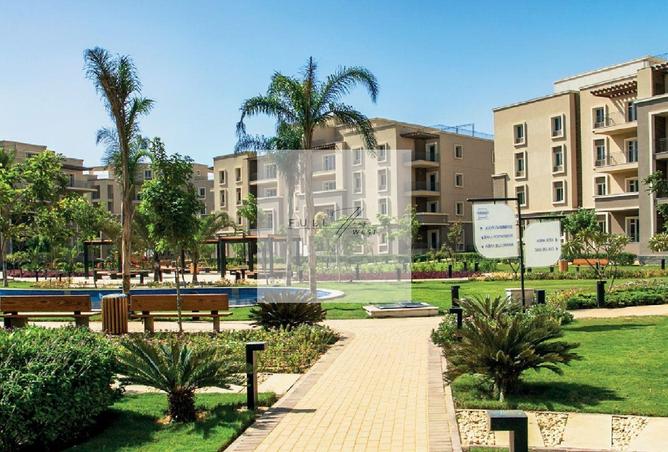 8630286 - Property Image 3