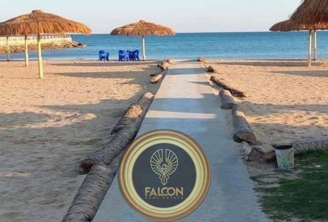 8643420 - Property Image 2