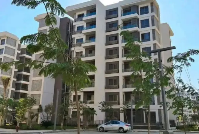 115445817 - Property Image 3