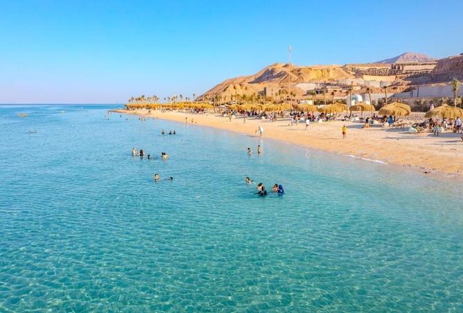 52196317 - صورة العقار 3