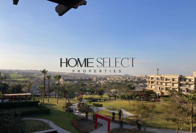 8595309 - Property Image 3