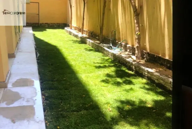 118284950 - صورة العقار 3