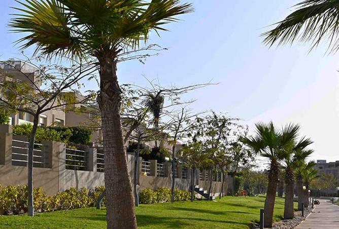 66696003 - صورة العقار 3