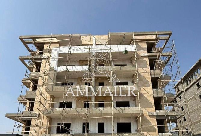 56008501 - Property Image 3