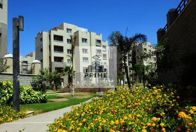 70354997 - Property Image 2