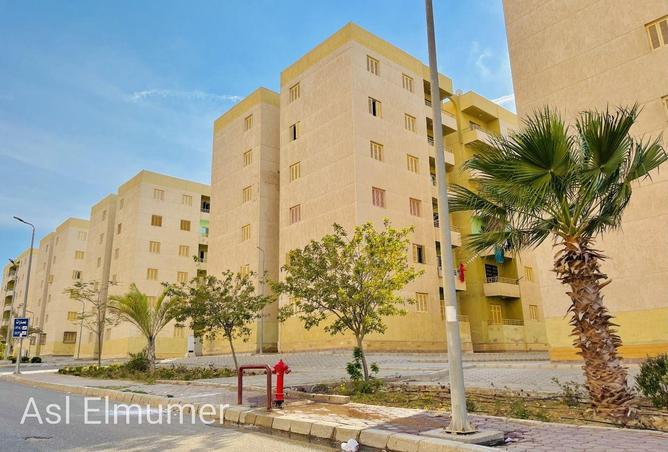 80529146 - Property Image 2