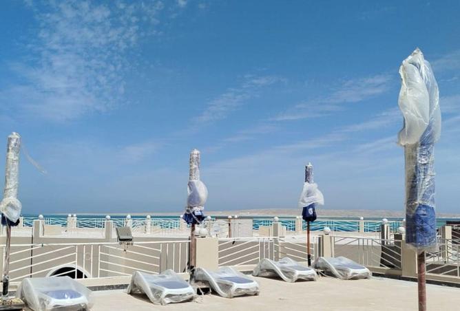 61678651 - Property Image 3