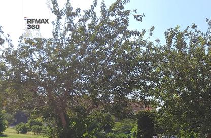 Duplex - 3 Bedrooms - 3 Bathrooms for sale in El Yasmeen 2 - El Yasmeen - New Cairo City - Cairo