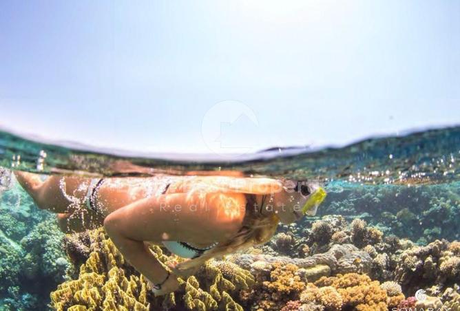 2PJhH4TPgw5 - صورة العقار 3