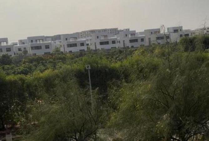 55512647 - الصورة الرئيسية للعقار