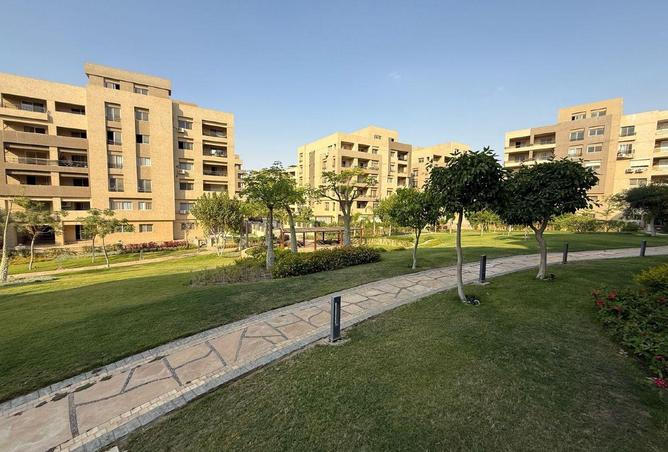 59241623 - صورة العقار 2