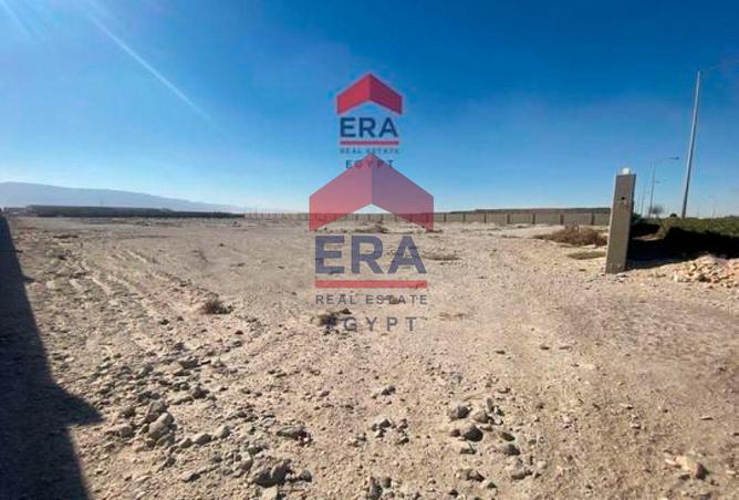 8500292 - Property Image 3