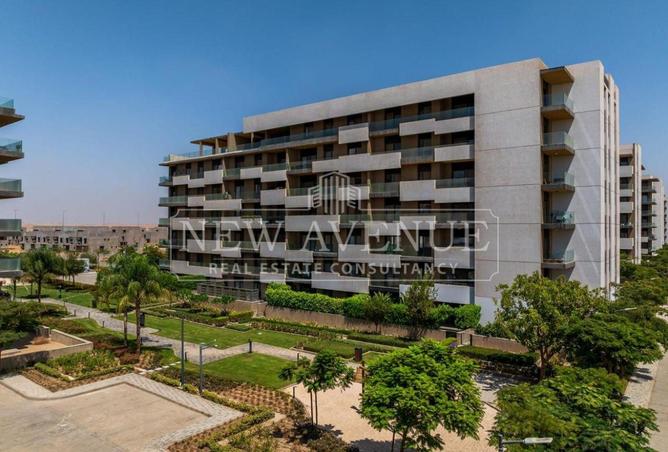 98828449 - Property Image 3