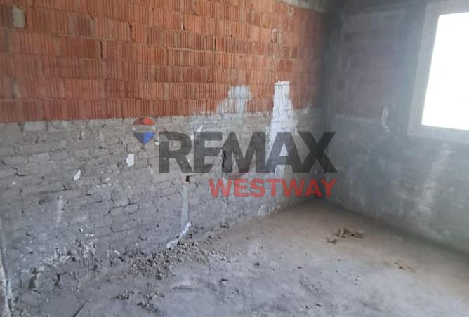 58252399 - Property Image 3