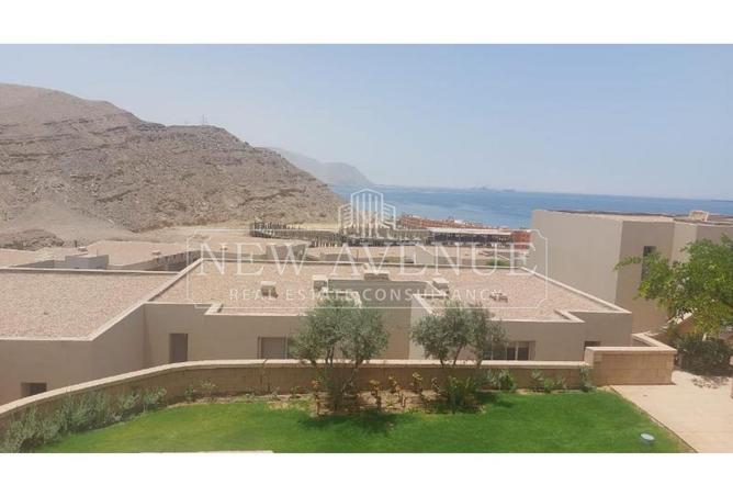 100916774 - Property Image 2