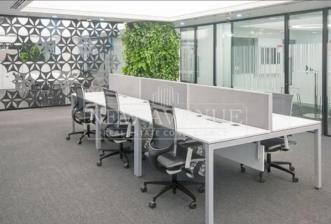 110736290 - Property Image 3