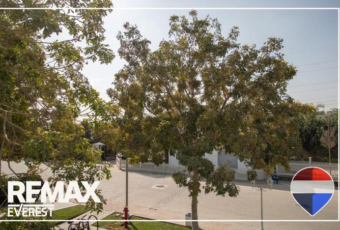 52197602 - Property Image 2